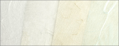 Japanese Tissue array