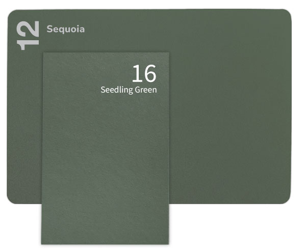 Gmund Colors and Keaykolour paper comparison | Gmund Seedling (16) and Keaykolour Sequoia (12) - mossy, dusty green papers