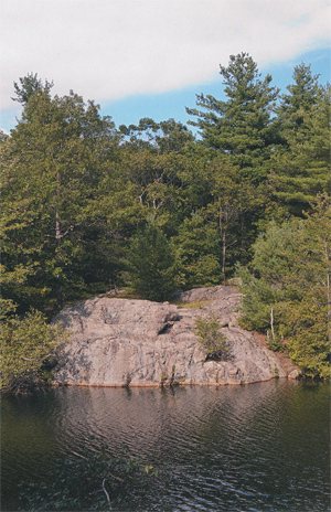 HP Envy 100 photo printing lake cliff trees