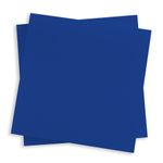 Royal Blue Paper - 27 x 39 Gmund Colors Matt 68lb Text - LCI Paper