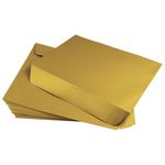 Antique Gold Envelopes - Stardream Metallic 10 x 13 Booklet 81T