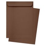 Bronze Envelopes - Stardream Metallic 9 x 12 Catalog 81T