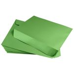 Fairway Green Envelopes - Stardream Metallic 10 x 13 Booklet 81T