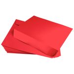 Jupiter Red Envelopes - Stardream Metallic 10 x 13 Booklet 81T