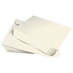 Opal Ivory Envelopes - Stardream Metallic 10 x 13 Booklet 81T