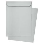 Silver Envelopes - Stardream Metallic 9 x 12 Catalog 81T