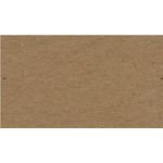Mini Environment Grocer Kraft Blank Cards - Flat, 120lb Cover