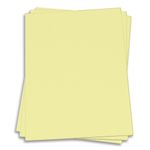 Baronial Ivory Card Stock - 18 x 12 Classic Crest 80lb Cover