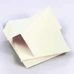 WhiteGold Folded Place Card - Curious Metallics 92C