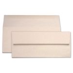 Nude Envelopes - #10 Curious Metallics 4 1/8 x 9 1/2 Straight Flap 80T
