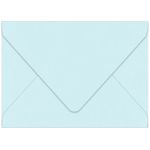 Berrylicious Envelopes - A1 Poptone 3 5/8 x 5 1/8 Euro Flap 70T