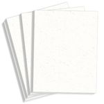 Birch White Card Stock - 8 1/2 x 11 Environment Smooth 80lb Cover