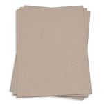 Desert Storm Brown Card Stock - 26 x 40 Environment Smooth 80lb Cover