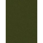 Forest Green Flat Card - A7.5 Gmund Colors Metallic 5 3/8 x 7 1/4 133C