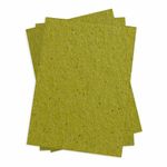 Chlorophyll Green Flat Card - A7 Bio Cycle 5 1/8 x 7 111C