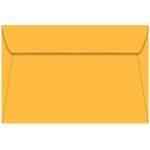 Yellow Light Envelopes - 6x9 Glo-Tone 6 x 9 Booklet 60T