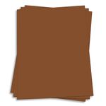 Sepia Brown Card Stock - 12 x 12 Gmund Colors Matt 111lb Cover