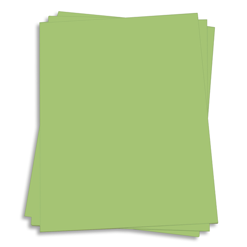 Olive Green Card Stock 12 x 18 Gmund Colors Matt 111lb Cover LCI Paper