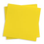 Canary Yellow Square Flat Card - 5 1/4 x 5 1/4 Gmund Colors Matt 111C