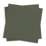 Seedling Green Square Flat Card - 6 1/4 x 6 1/4 Gmund Colors Matt 111C