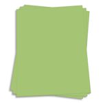 Olive Green Card Stock - 8 1/2 x 11 Gmund Colors Matt 111lb Cover