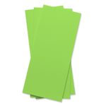 Leaf Green Flat Card - 4 x 9 1/4 Gmund Colors Matt 111C