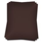 Chocolate Brown Card Stock - 12 x 12 Gmund Colors Metallic 115lb Cover