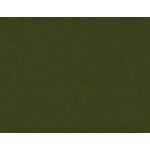 Forest Green Flat Card - A2 Gmund Colors Metallic 4 1/4 x 5 1/2 133C