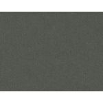 Slate Gray Flat Card - A2 Gmund Colors Metallic 4 1/4 x 5 1/2 115C