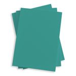 Tropical Blue Flat Card - A1 LCI Hue Matte 3 1/2 x 4 7/8 111C