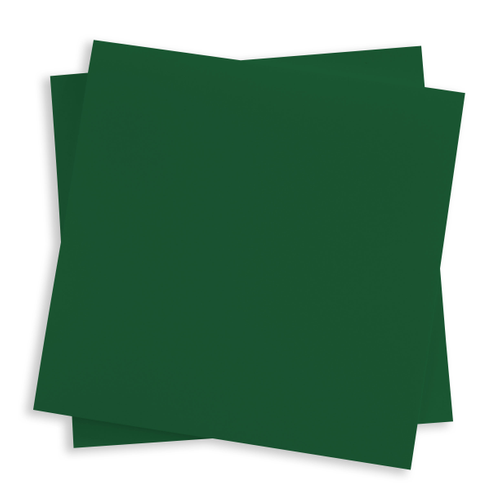 Colorations® Holiday Green 12 x 18 Heavyweight Construction Paper Holiday  Green Color