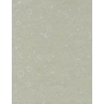 Bubbles Pewter Grey Paper - 8 1/2 x 11 Pearlized Silkscreen 47lb Text