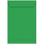 Gamma Green Envelopes - Astrobrights 9 x 12 Catalog 60T