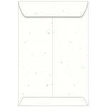 Stardust White Envelopes - Astrobrights 9 x 12 Catalog 60T