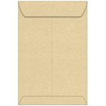 Aged Ivory Envelopes - Astroparche 9 x 12 Catalog 60T