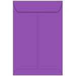 Gravity Grape Envelopes - Astrobrights 10 x 13 Catalog 60T