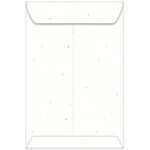 Stardust White Envelopes - Astrobrights 10 x 13 Catalog 60T