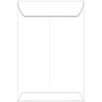 White Envelopes - Plike 10 x 13 Catalog 95T