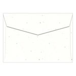 Stardust White Envelopes - A1 Astrobrights 3 5/8 x 5 1/8 Pointed Flap 60T