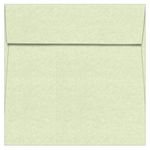 Celadon Square Envelopes - 5 x 5 Astroparche 60T