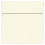 Birch Square Envelopes - 5 1/2 x 5 1/2 Royal Sundance Fiber 70T