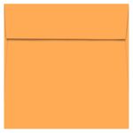 Orange Fizz Square Envelopes - 6 1/2 x 6 1/2 Poptone 70T