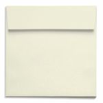 Opal Ivory Square Envelopes - 5 1/2 x 5 1/2 Stardream Metallic 81T