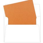 A2 Flame Metallic Envelope Liners, Stardream