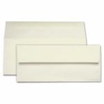 Opal Ivory Envelopes - #10 Stardream Metallic 4 1/8 x 9 1/2 Straight Flap 81T