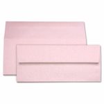 Rose Quartz Envelopes - #10 Stardream Metallic 4 1/8 x 9 1/2 Straight Flap 81T