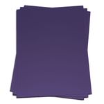 Curious Skin Violet Cardstock - 27 x 39, 100lb Cover