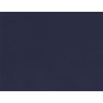 Dark Blue Flat Card - A2 Curious Skin 4 1/4 x 5 1/2 100C