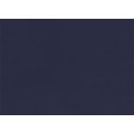Dark Blue Flat Card - A1 Curious Skin 3 1/2 x 4 7/8 100C