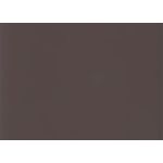 Brown Flat Card - A1 Curious Skin 3 1/2 x 4 7/8 100C